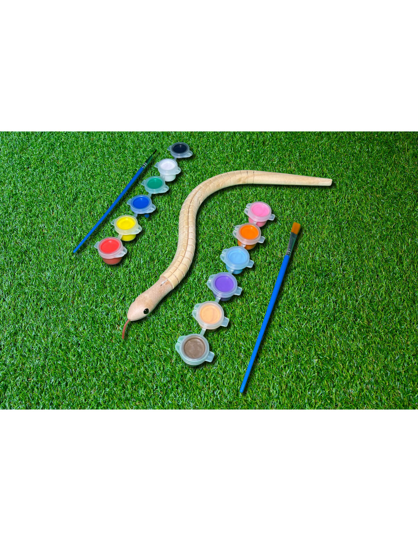 Wooden Snake With Paint Set