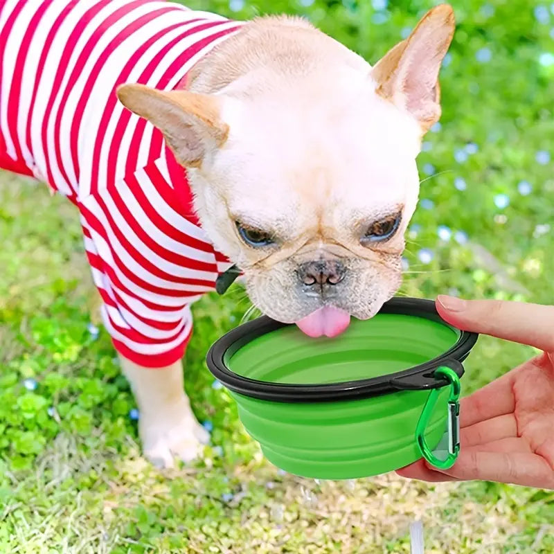 A small dog wearing a red striped shirt drinks out of a green foldable bowl and person is holding in their hand.